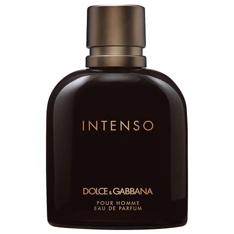 dolce gabbana intense erkek|dolce and gabbana intenso fragrantica.